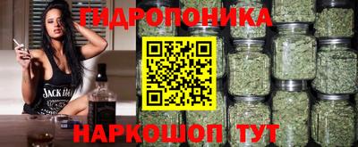 стафф Тверь