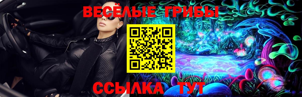 Галлюциногенные грибы ЛСД Новодвинск