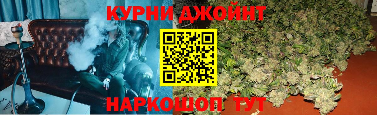 Каннабис индика Новодвинск